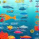 Marine ecology diagram with fish and coral icon